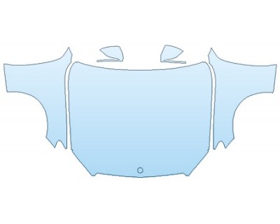 PRECUT PPF CLEAR BRA WRAP