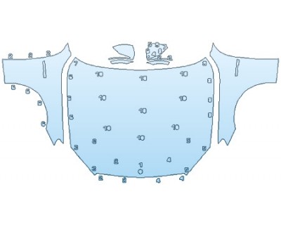 PRECUT PPF CLEAR BRA WRAP