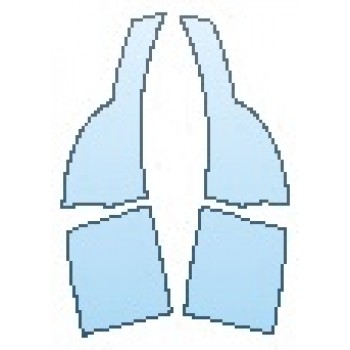 PRECUT PPF CLEAR BRA WRAP