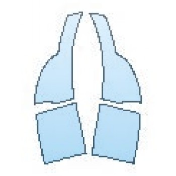 PRECUT PPF CLEAR BRA WRAP