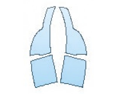 PRECUT PPF CLEAR BRA WRAP