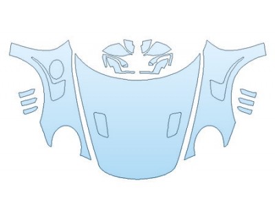 PRECUT PPF CLEAR BRA WRAP