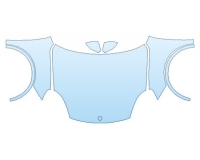 PRECUT PPF CLEAR BRA WRAP
