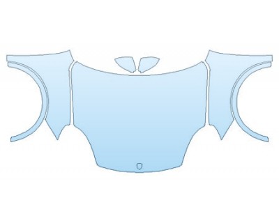 PRECUT PPF CLEAR BRA WRAP