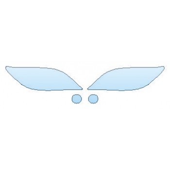 PRECUT PPF CLEAR BRA WRAP