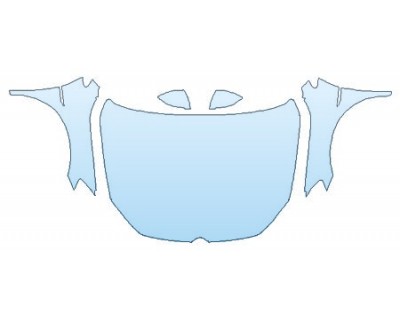 PRECUT PPF CLEAR BRA WRAP