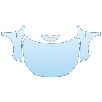 PAINT PROTECTION KIT - 2020 HONDA INSIGHT TOURING FULL HOOD (WRAPPED EDGES) FENDERS MIRRORS - PRECUT PPF CLEAR BRA WRAP