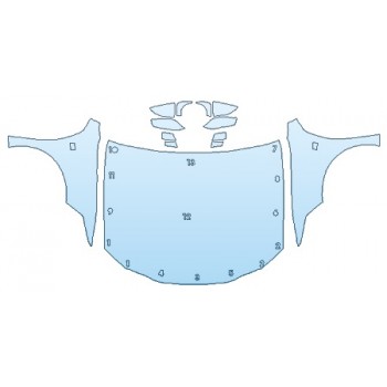 PAINT PROTECTION KIT - 2019 LEXUS ES 350 F-SPORT FULL HOOD FENDERS MIRRORS - PRECUT PPF CLEAR BRA WRAP