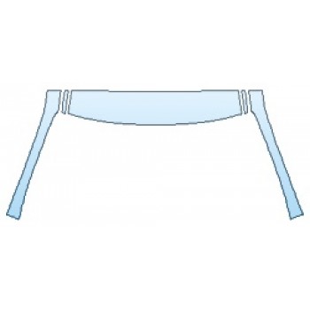 PAINT PROTECTION KIT - 2019 LEXUS ES 350 F-SPORT ROOF A-PILLARS - PRECUT PPF CLEAR BRA WRAP