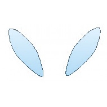 INVISIBLEMASK  - 3M PAINT PROTECTION