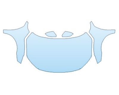 PAINT PROTECTION KIT - 2019 HONDA CIVIC_COUPE TOURING FULL HOOD (WRAPPED EDGES) FENDERS MIRRORS - PRECUT PPF CLEAR BRA WRAP