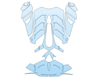 PAINT PROTECTION KIT - 2020 LAMBORGHINI AVENTADOR SVJ ENGINE COVER - PRECUT PPF CLEAR BRA WRAP