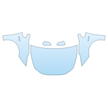 PAINT PROTECTION KIT - 2019 TOYOTA PRIUS LE FULL HOOD FENDERS MIRRORS - PRECUT PPF CLEAR BRA WRAP