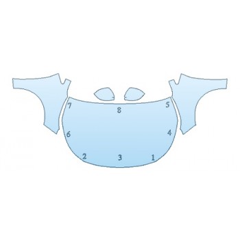 Precut PPF Kit – Clear Bra Paint Protection Film PAINT PROTECTION KIT - 2020 TOYOTA COROLLA XLE FULL HOOD FENDERS MIRRORS - PRECUT PPF CLEAR BRA WRAP