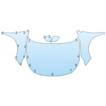 Precut PPF Kit – Clear Bra Paint Protection Film PAINT PROTECTION KIT - 2020 SUBARU LEGACY SPORT FULL HOOD FENDERS MIRRORS - PRECUT PPF CLEAR BRA WRAP