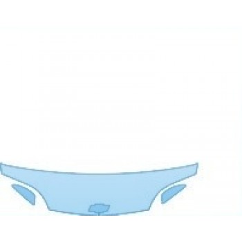 PRECUT PPF CLEAR BRA WRAP