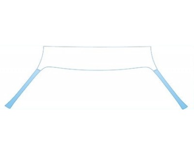 PAINT PROTECTION KIT - 2009 FERRARI F430 COUPE ROOF A-PILLAR KIT - PRECUT PPF CLEAR BRA WRAP