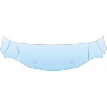 PAINT PROTECTION KIT - 2008 FORD MUSTANG SHELBY GT HOOD FENDER KIT - PRECUT PPF CLEAR BRA WRAP