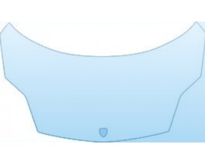 Precut PPF Kit – Clear Bra Paint Protection Film PAINT PROTECTION KIT - 2009 LAMBORGHINI GALLARDO LP-560-4 FULL HOOD KIT - PRECUT PPF CLEAR BRA WRAP