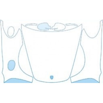 PAINT PROTECTION KIT - 2006 PORSCHE BOXSTER BASE FULL HOOD FENDER MIRROR KIT - PRECUT PPF CLEAR BRA WRAP