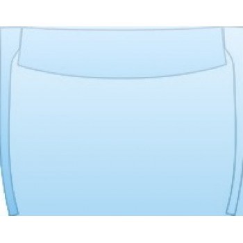 PAINT PROTECTION KIT - 2004 SCION XA BASE MODEL ROOF A-PILLAR KIT - PRECUT PPF CLEAR BRA WRAP