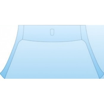 PAINT PROTECTION KIT - 2010 PONTIAC G3 X  ROOF A-PILLARS KIT - PRECUT PPF CLEAR BRA WRAP