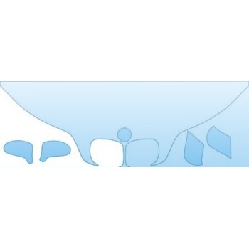 PRECUT PPF CLEAR BRA WRAP