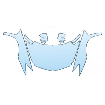 Precut PPF Kit – Clear Bra Paint Protection Film PAINT PROTECTION KIT - 2016 LAMBORGHINI AVENTADOR LP700-4 FULL HOOD FENDERS MIRRORS - PRECUT PPF CLEAR BRA WRAP