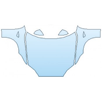 INVISIBLEMASK  - 3M PAINT PROTECTION