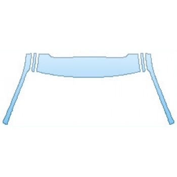 PAINT PROTECTION KIT - 2016 BMW 3 SERIES SEDAN LUXURY PKG ROOF WITH SUNROOF A-PILLARS - PRECUT PPF CLEAR BRA WRAP