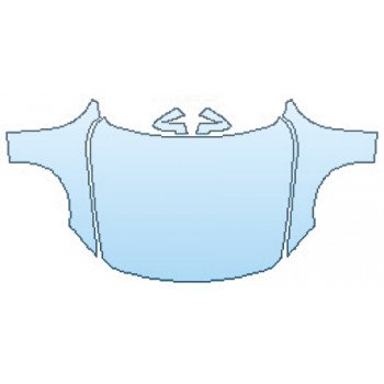 PAINT PROTECTION KIT - 2016 BMW 3 SERIES SEDAN M SPORT FULL HOOD FENDERS MIRRORS - PRECUT PPF CLEAR BRA WRAP