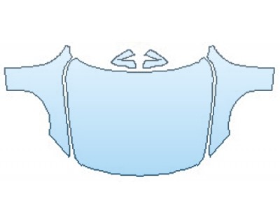 PAINT PROTECTION KIT - 2016 BMW 3 SERIES SEDAN M SPORT FULL HOOD(WRAPPED EDGES) FENDERS MIRRORS - PRECUT PPF CLEAR BRA WRAP