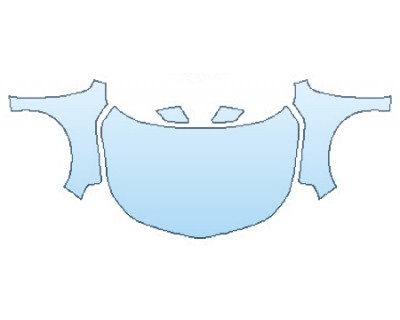 PRECUT PPF CLEAR BRA WRAP