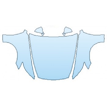 Precut PPF Kit – Clear Bra Paint Protection Film PAINT PROTECTION KIT - 2016 LEXUS LS 600H FULL HOOD (WRAPPED EDGES) FENDERS MIRRORS - PRECUT PPF CLEAR BRA WRAP