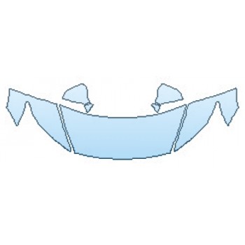 PAINT PROTECTION KIT - 2016 LEXUS LS 600H HOOD  FENDERS  MIRRORS - PRECUT PPF CLEAR BRA WRAP