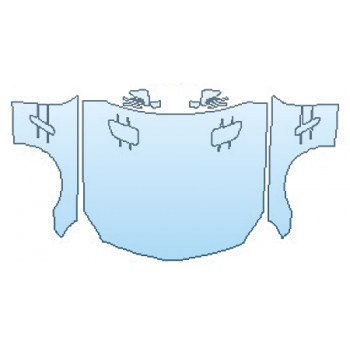 PAINT PROTECTION KIT - 2016 MERCEDES SL-CLASS SL65 AMG FULL HOOD  FENDERS  MIRRORS - PRECUT PPF CLEAR BRA WRAP