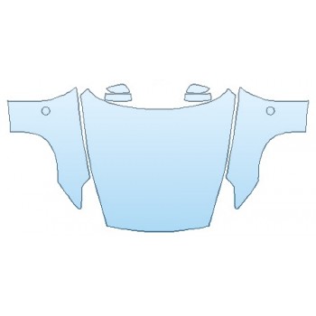 PRECUT PPF CLEAR BRA WRAP