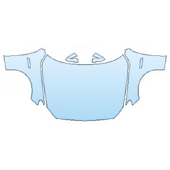 PAINT PROTECTION KIT - 2016 BMW 5 SERIES GRAN TURISMO LUXURY LINE FULL HOOD  FENDERS  MIRRORS - PRECUT PPF CLEAR BRA WRAP