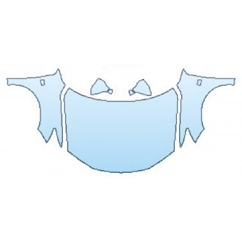 PAINT PROTECTION KIT - 2017 LEXUS CT 200H F-SPORT FULL HOOD  FENDERS  MIRRORS - PRECUT PPF CLEAR BRA WRAP