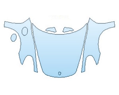 PAINT PROTECTION KIT - 2016 PORSCHE BOXTER GTS FULL HOOD  FENDERS  MIRRORS - PRECUT PPF CLEAR BRA WRAP