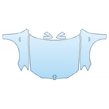 PAINT PROTECTION KIT - 2016 BMW X3 XDRIVE XLINE FULL HOOD  FENDERS  MIRRORS - PRECUT PPF CLEAR BRA WRAP