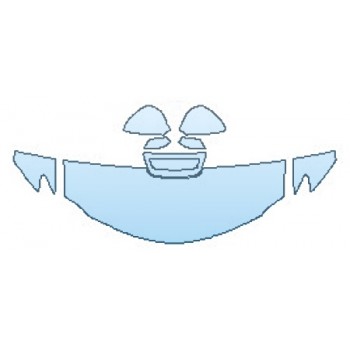 PAINT PROTECTION KIT - 2017 LEXUS RC F HOOD (24 INCH)  FENDERS  MIRRORS - PRECUT PPF CLEAR BRA WRAP