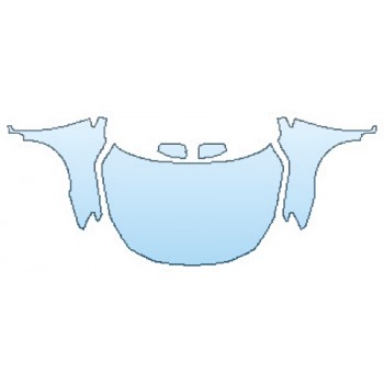 PRECUT PPF CLEAR BRA WRAP