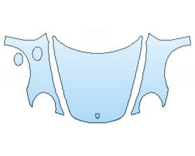 PRECUT PPF CLEAR BRA WRAP