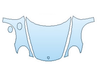 PRECUT PPF CLEAR BRA WRAP