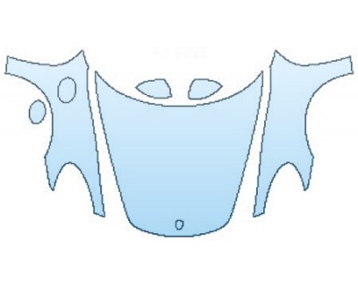 PRECUT PPF CLEAR BRA WRAP