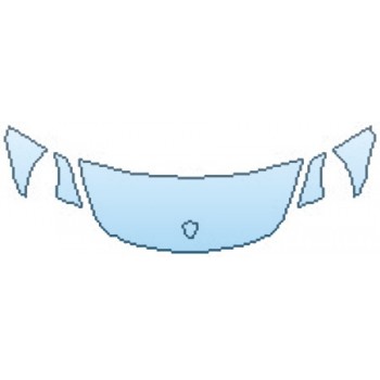 PRECUT PPF CLEAR BRA WRAP