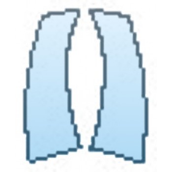 Precut PPF Kit – Clear Bra Paint Protection Film PAINT PROTECTION KIT - 2016 BMW 4 SERIES GRAN COUPE 428I M SPORT SPLASH - PRECUT PPF CLEAR BRA WRAP