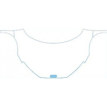 PAINT PROTECTION KIT - 2013 AUDI R8 GT BASE FULL HOOD KIT - PRECUT PPF CLEAR BRA WRAP