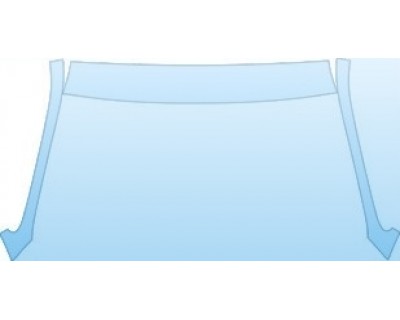 PAINT PROTECTION KIT - 2004 LINCOLN TOWN CAR ROOF A-PILLAR KIT - PRECUT PPF CLEAR BRA WRAP